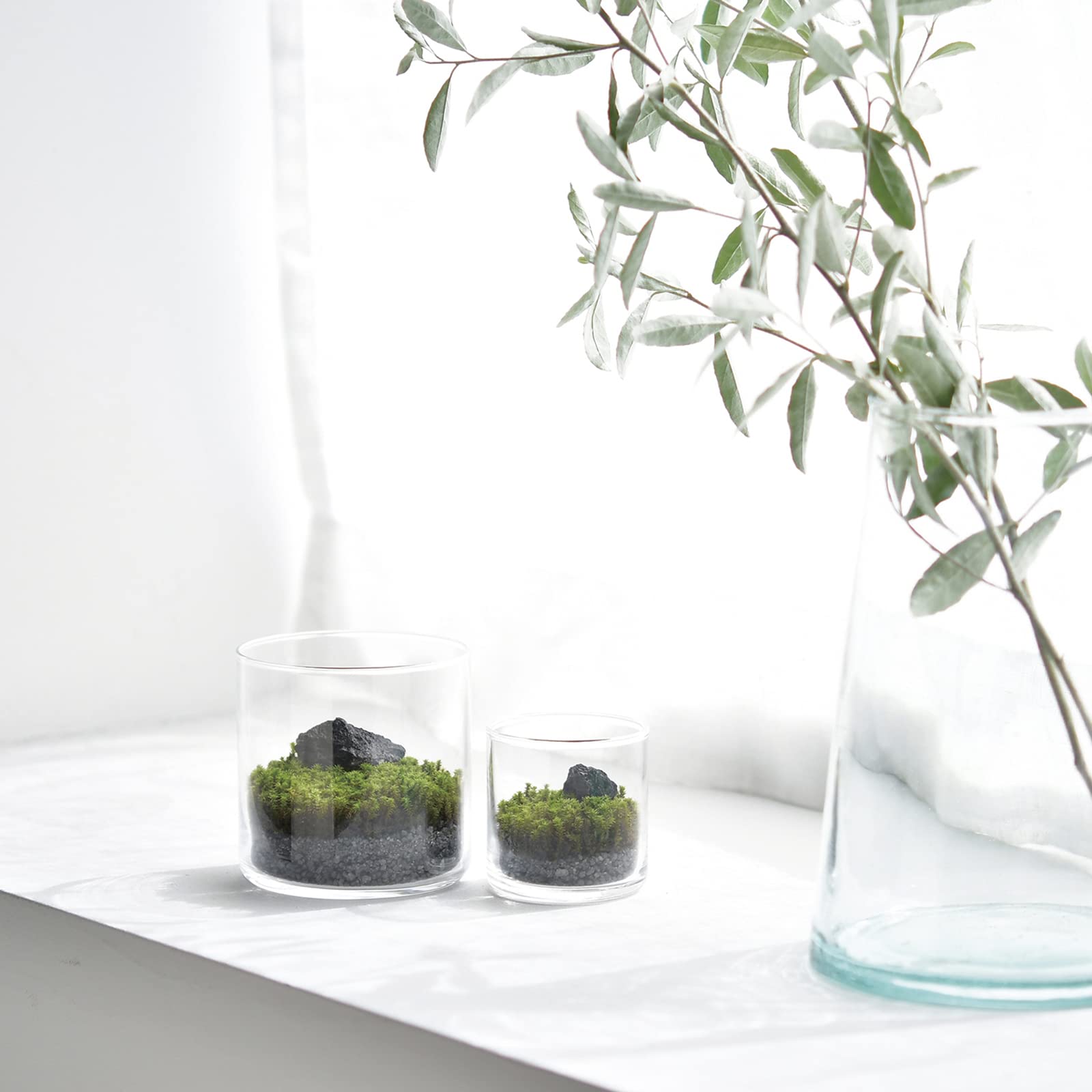 Amazon.co.jp: 聖新陶芸 春 / 夏 / 秋の アクアリウム 苔